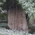 項目拓展 | 建為歷保中標(biāo)成都東南里1號地塊古城墻遺址勘察、保護(hù)方案設(shè)計